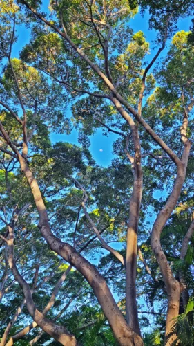 Photo of the Day: Sun ’n’ Moon